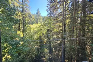 135 Redwood Ave, Occidental, CA 95419 - Photo 31