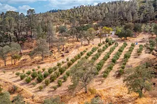 21378 Jerusalem Grade, Lower Lake, CA 95461 - Photo 55