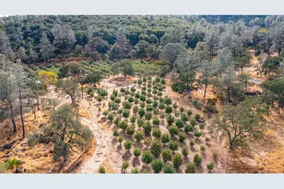 21378 Jerusalem Grade, Lower Lake, CA 95461 - Photo 57