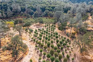 21378 Jerusalem Grade, Lower Lake, CA 95461 - Photo 57