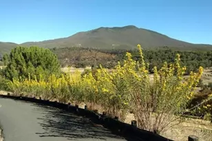 7625 Hwy 175, Kelseyville, CA 95451 - Photo 29