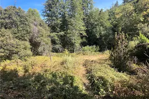 9600 McKinley, Kelseyville, CA 95451 - Photo 25