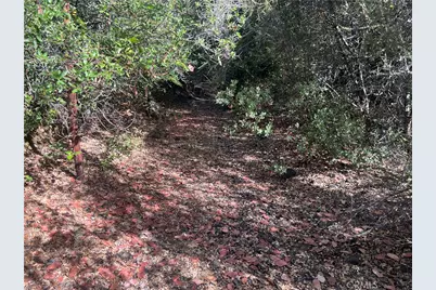 9600 McKinley, Kelseyville, CA 95451 - Photo 21