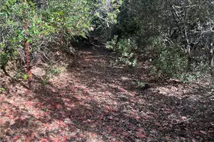 9600 McKinley, Kelseyville, CA 95451 - Photo 21