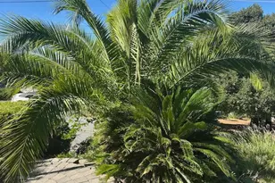 7061 Fairview Dr, Kelseyville, CA 95451 - Photo 27