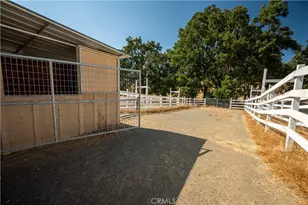 8900 Wight Way, Kelseyville, CA 95451 - Photo 19