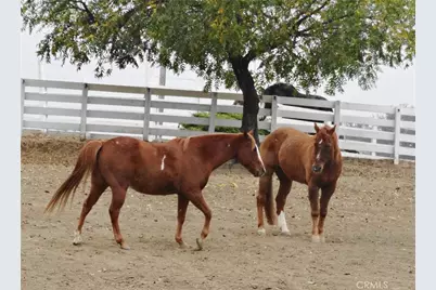 8900 Wight Way, Kelseyville, CA 95451 - Photo 17