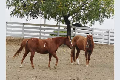 8900 Wight Way, Kelseyville, CA 95451 - Photo 21