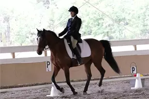 8900 Wight Way, Kelseyville, CA 95451 - Photo 9