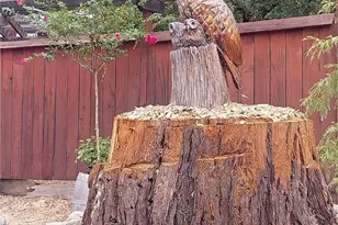 600 6th St, Lakeport, CA 95453 - Photo 55