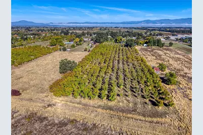 2427 Argonaut Road, Finley, CA 95453 - Photo 69