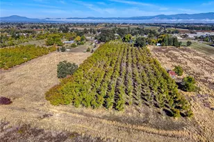 2427 Argonaut Rd, Finley, CA 95453 - Photo 69