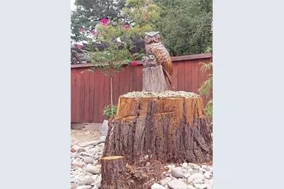 600 6th Street, Lakeport, CA 95453 - Photo 55