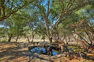 16261 Conestoga Rd, Hidden Valley Lake, CA 95467 - Photo 59