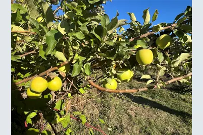 11255 Rancheria Rd, Upper Lake, CA 95485 - Photo 39