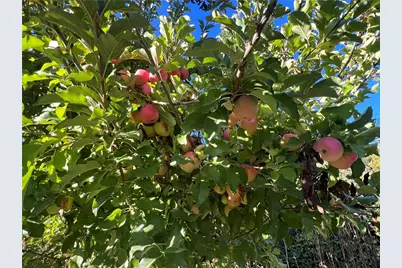 11255 Rancheria Rd, Upper Lake, CA 95485 - Photo 37