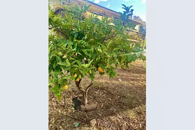 2900 Oakcrest Drive, Lucerne, CA 95458 - Photo 7