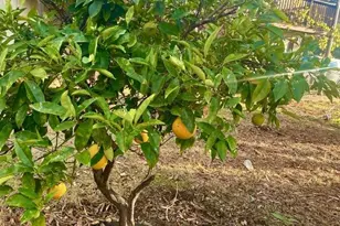 2900 Oakcrest Dr, Lucerne, CA 95458 - Photo 7