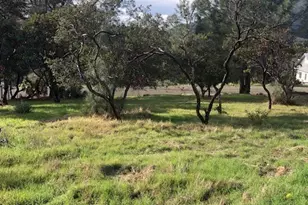 5308 Olympia Dr, Kelseyville, CA 95451 - Photo 1