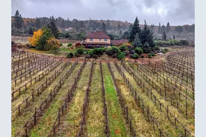 8664 Seigler Springs North, Kelseyville, CA 95451 - Photo 49