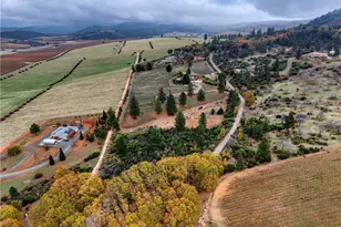 8664 Seigler Springs N, Kelseyville, CA 95451 - Photo 57