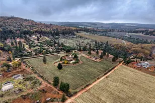 8664 Seigler Springs N, Kelseyville, CA 95451 - Photo 59