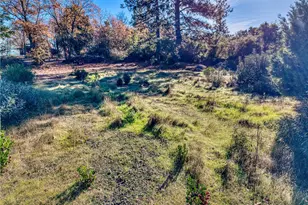 9184 Diamond Dust, Kelseyville, CA 95451 - Photo 31