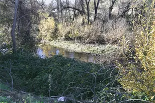 5701 Live Oak, Kelseyville, CA 95451 - Photo 11