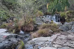 11081 Van Dorn Reservoir Rd, Middletown, CA 95461 - Photo 55