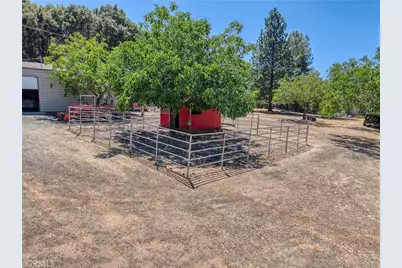 8700 Red Hills Road, Kelseyville, CA 95451 - Photo 61