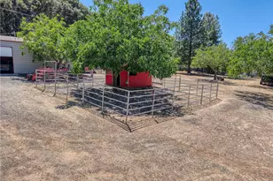 8700 Red Hills Rd, Kelseyville, CA 95451 - Photo 61