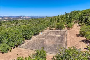 8700 Red Hills Rd, Kelseyville, CA 95451 - Photo 67