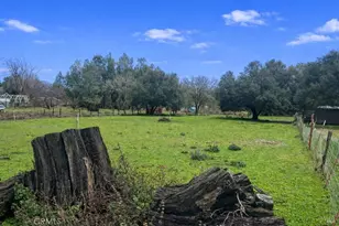 2865 Bell Hill Rd, Kelseyville, CA 95451 - Photo 31