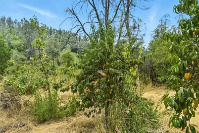 20110 Jerusalem Grade, Lower Lake, CA 95457 - Photo 27
