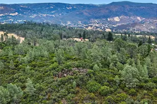 20110 Jerusalem Grade, Lower Lake, CA 95457 - Photo 23