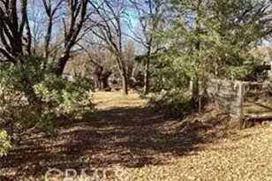 7672 Hwy 29, Kelseyville, CA 95451 - Photo 3