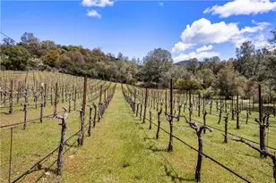 3520 Michelle Dr, Kelseyville, CA 95451 - Photo 65