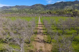 10950 Bachelor Valley Rd, Upper Lake, CA 95485 - Photo 21