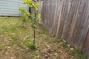 14707 Walnut Ave, Clearlake, CA 95422 - Photo 43