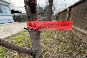 14707 Walnut Ave, Clearlake, CA 95422 - Photo 59