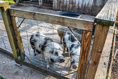 5963 Eickhoff Road, Lakeport, CA 95453 - Photo 27