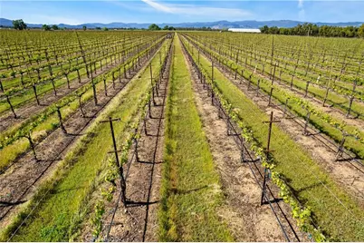 1650 Bell Hill Road, Kelseyville, CA 95451 - Photo 23