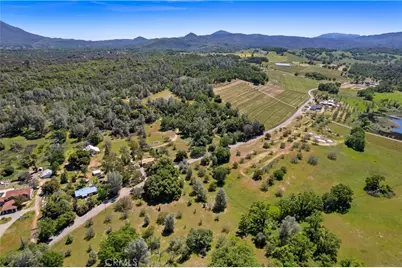7875 Adobe Creek Road, Kelseyville, CA 95451 - Photo 43