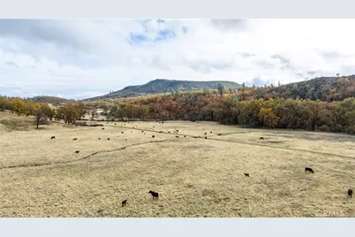 11158 Rocky Creek Road, Lower Lake, CA 95457 - Photo 7