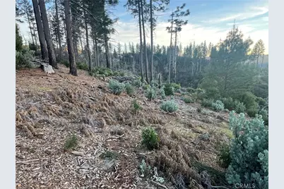 16710 Starview Loop Rd, Cobb, CA 95426 - Photo 11