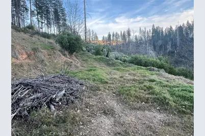 16709 Starview Loop, Cobb, CA 95426 - Photo 3