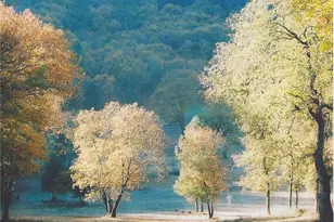 13449 Anderson Rd, Lower Lake, CA 95457 - Photo 9