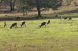 13449 Anderson Rd, Lower Lake, CA 95457 - Photo 61