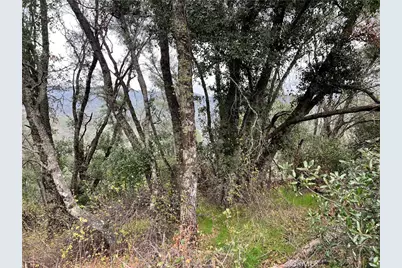 7166 Butte Court, Nice, CA 95464 - Photo 3