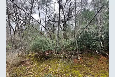 7022 Black Oak Street, Nice, CA 95464 - Photo 5